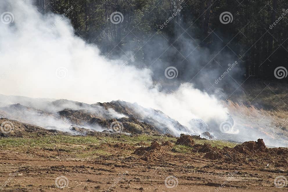 Mulch Fire stock image. Image of winter, color, field 5524885