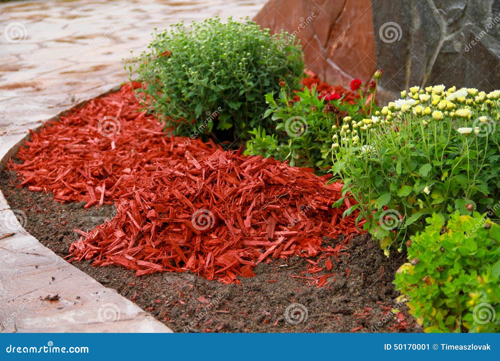 mulch red decorative bark being arranged soil under flowers 50170001