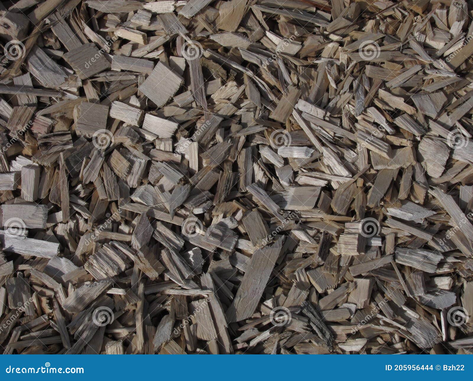 Mulching a Flower Bed with Wood Chips Stock Photo Image of wooden