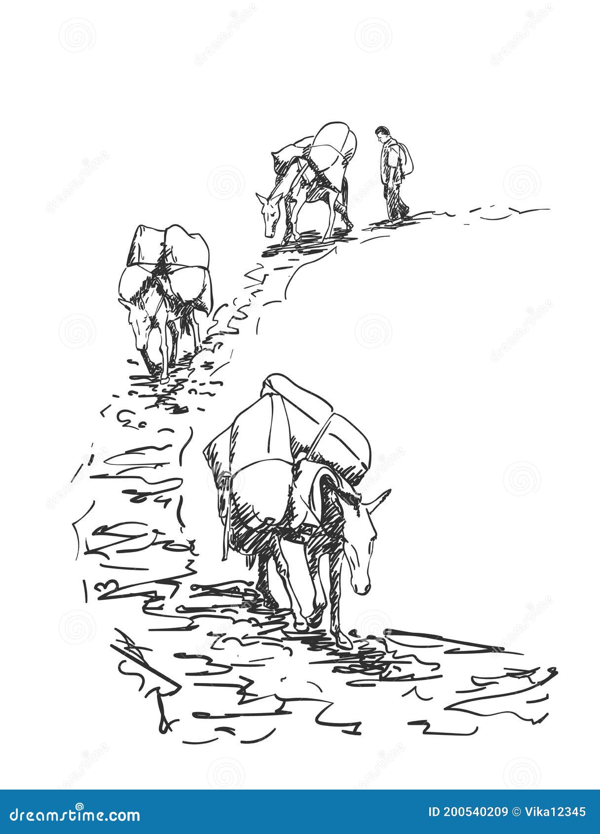 Mule Caravan Walking In Mountains With Load On Back Vector Sketch, Hand