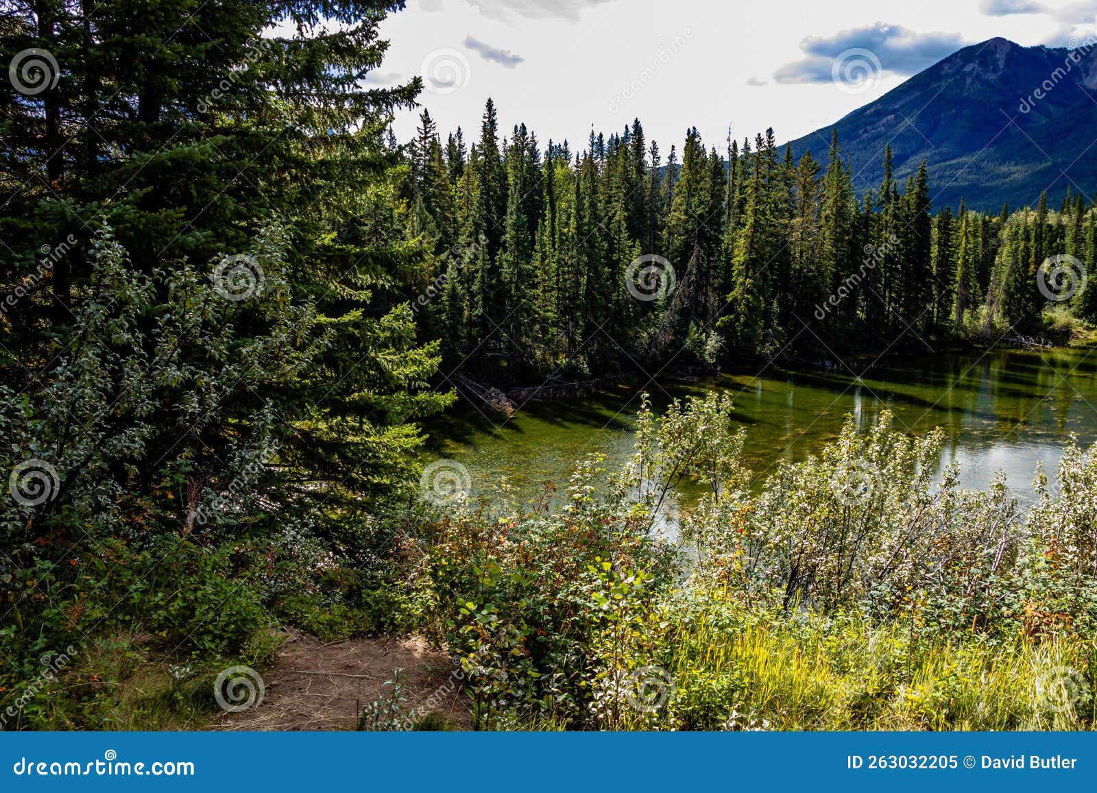 Muleshoe Banff National Park Alberta Canada Stock Image Image of