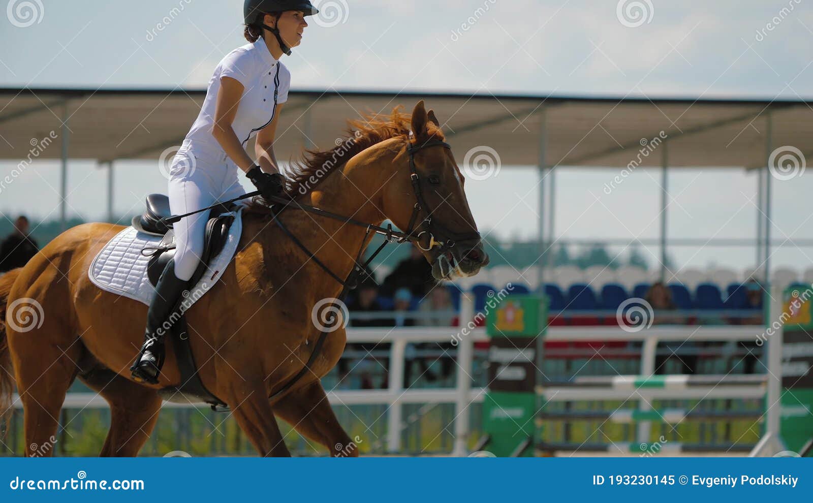 a cavalo saltos sobre a obstáculo. a cavalo cavalgando. pulando