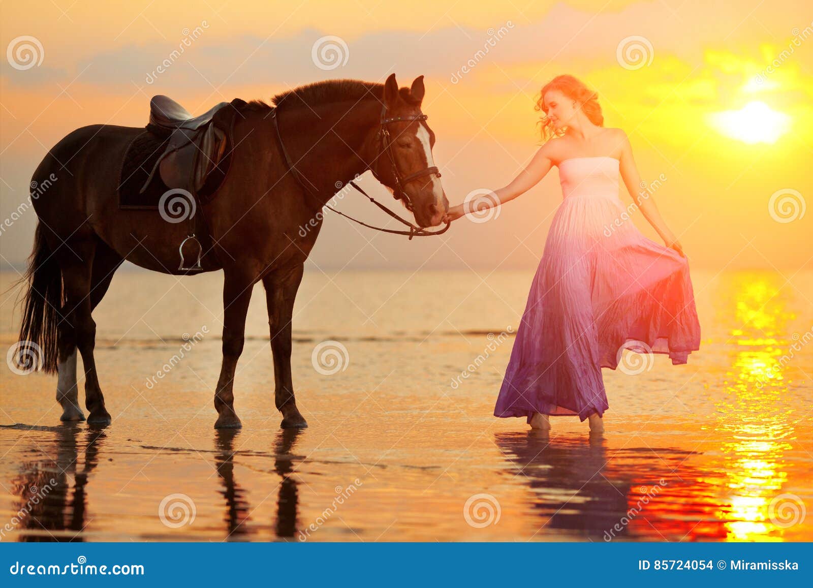 Mulher Bonita Sorrindo Em Frente Ao Cavalo No Pôr Do Sol Imagem de