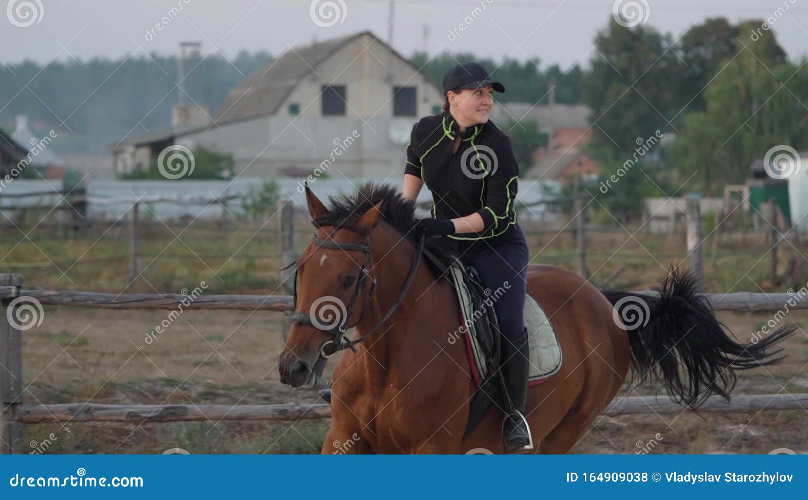 Um cavalo pulando uma cerca em um prado