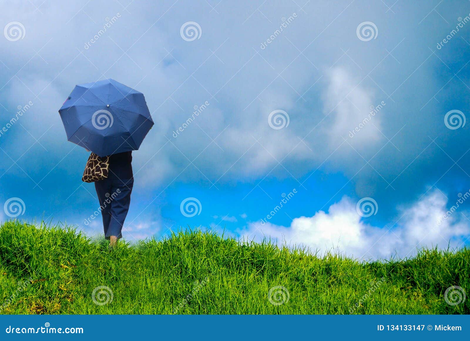 Mulher Com O Guarda-chuva Sob A Nuvem De Chuva Imagem de Stock - Imagem de  horizontal, caminhada: 134133147