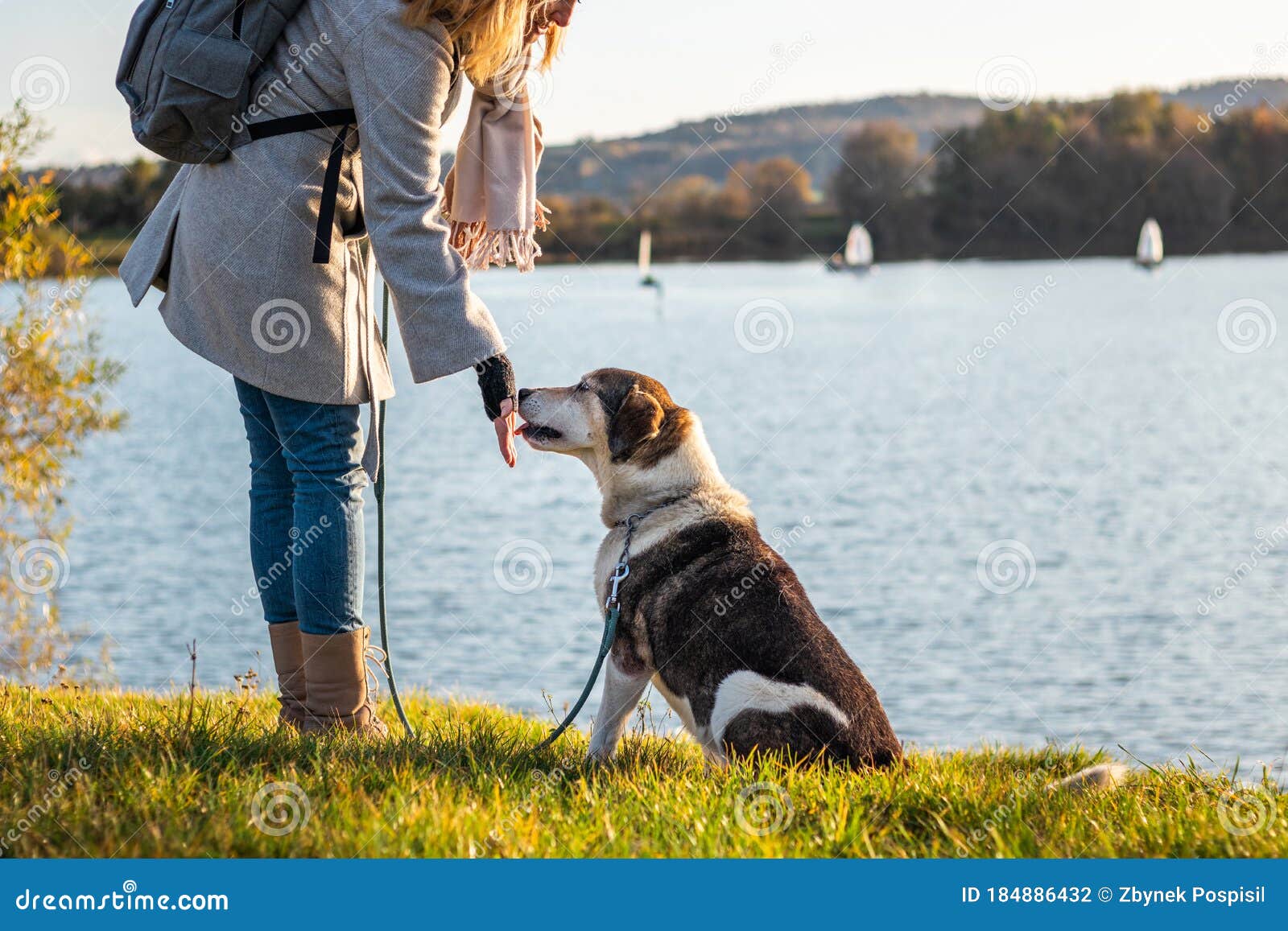 Mulher gozando com cachorros