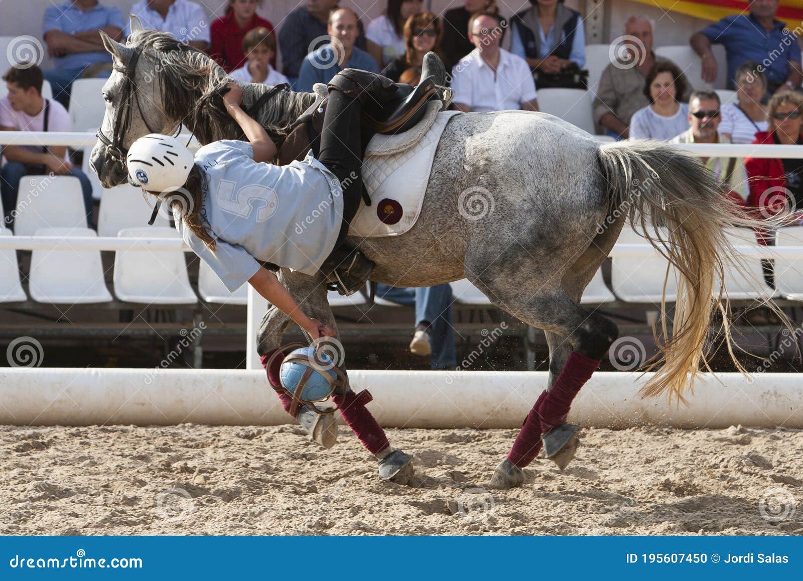 Mulher Durante Um Jogo De Bola De Cavalo Imagem Editorial - Imagem de  jogador, arena: 195607450