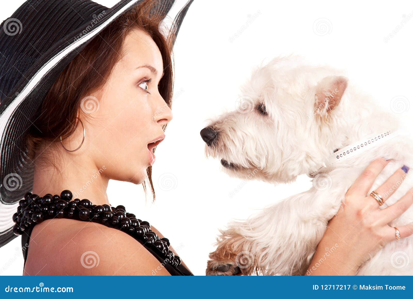 Mulher e cão imagem de stock. Imagem de feliz, amor, fofofo - 12717217