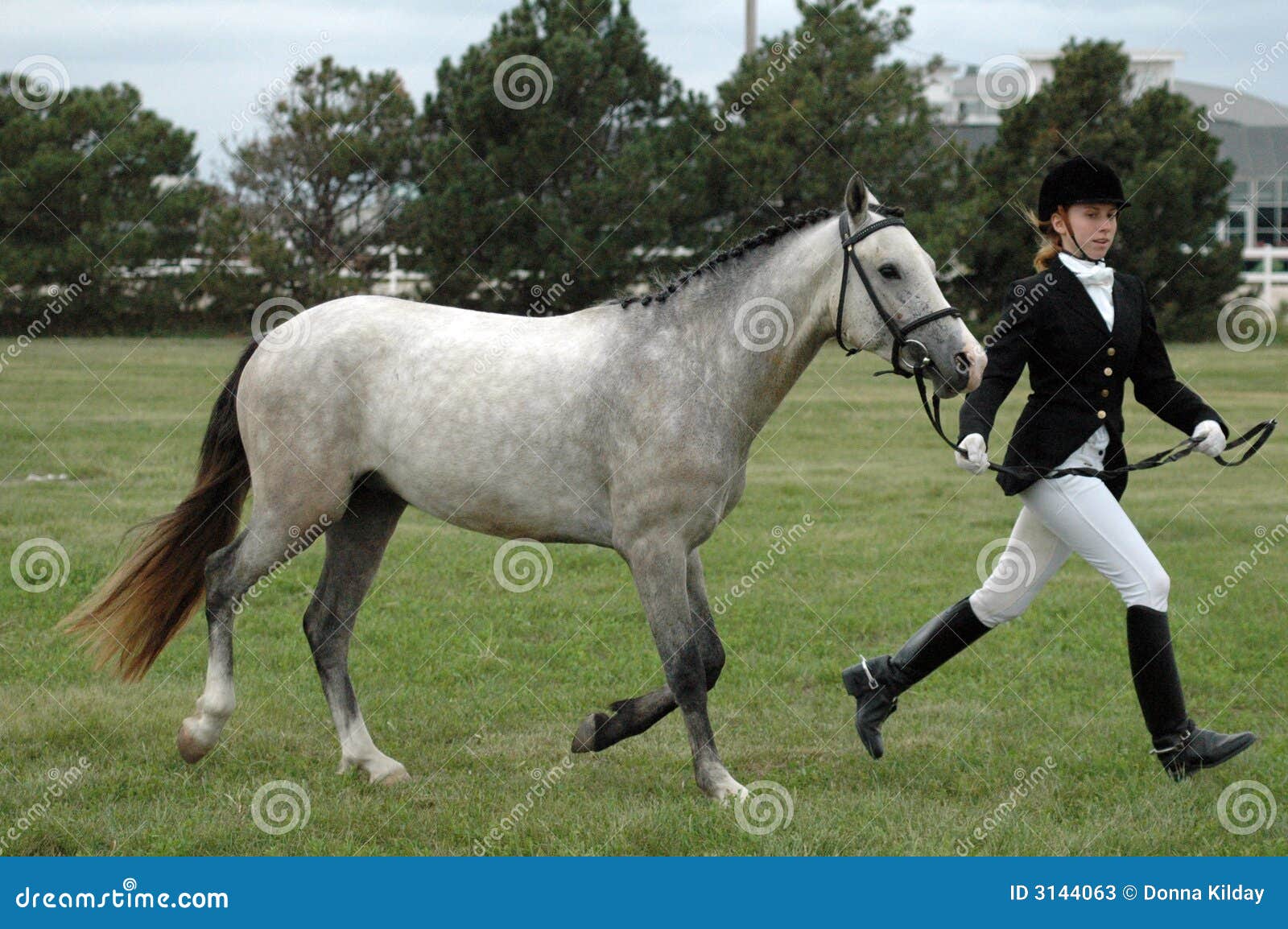 Mulher e cavalo imagem de stock. Imagem de vestimenta - 3144063