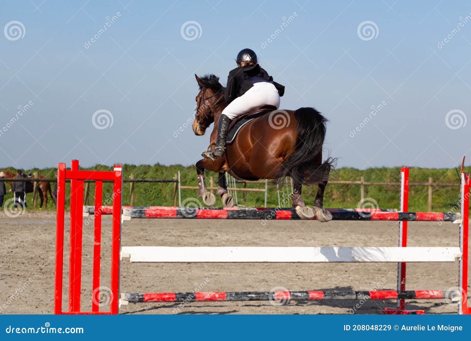 Jovem cavaleiro montando um cavalo pulando uma cerca em uma
