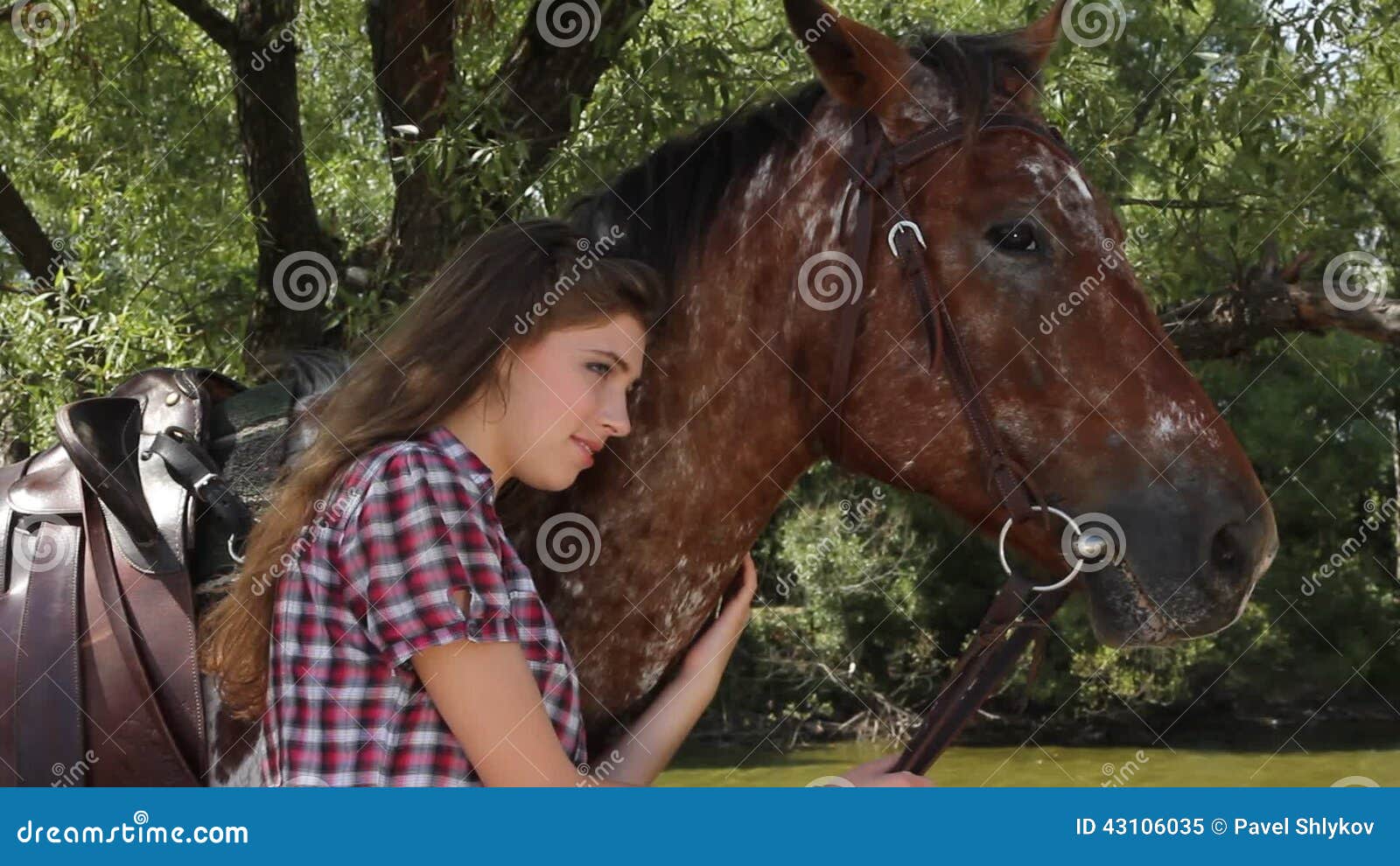 Cavalo cmendo mulher