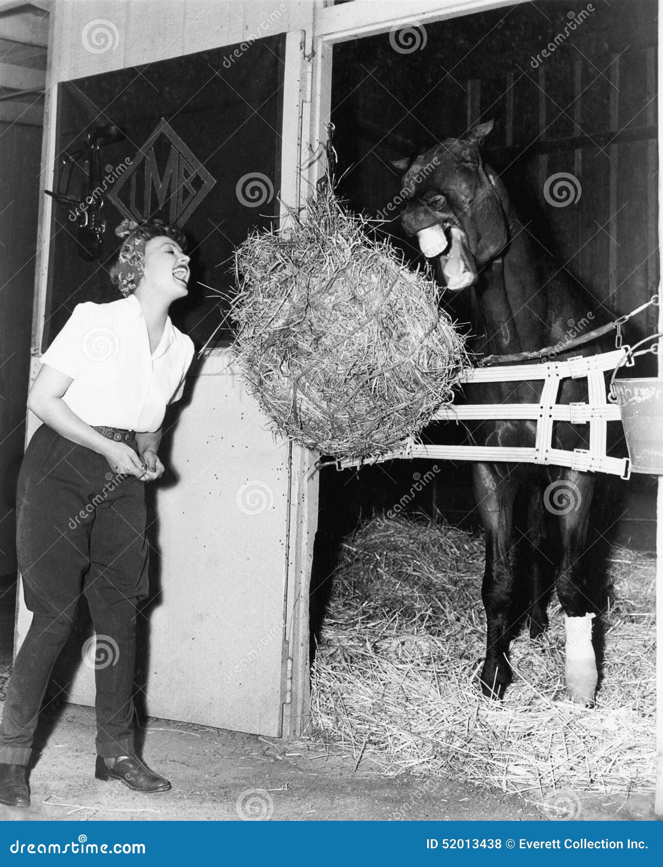 Cavalo comer mulher
