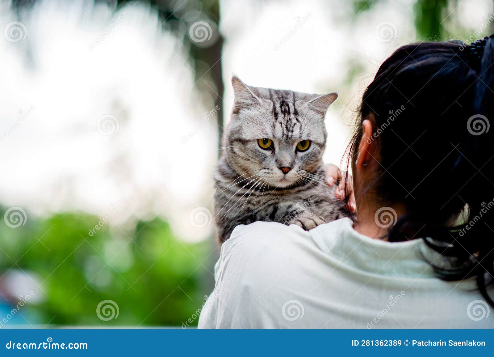 Brincando com o seu gato