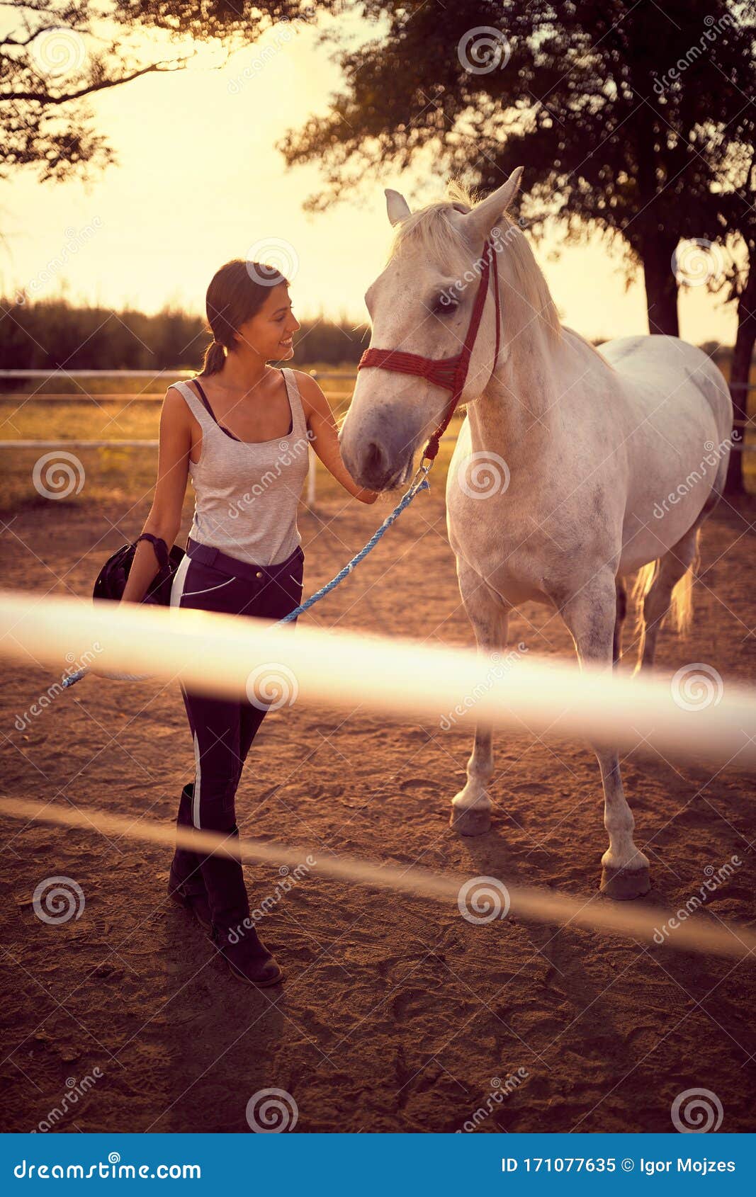 Mulher Bonita Sorrindo Em Frente Ao Cavalo No Pôr Do Sol Imagem de