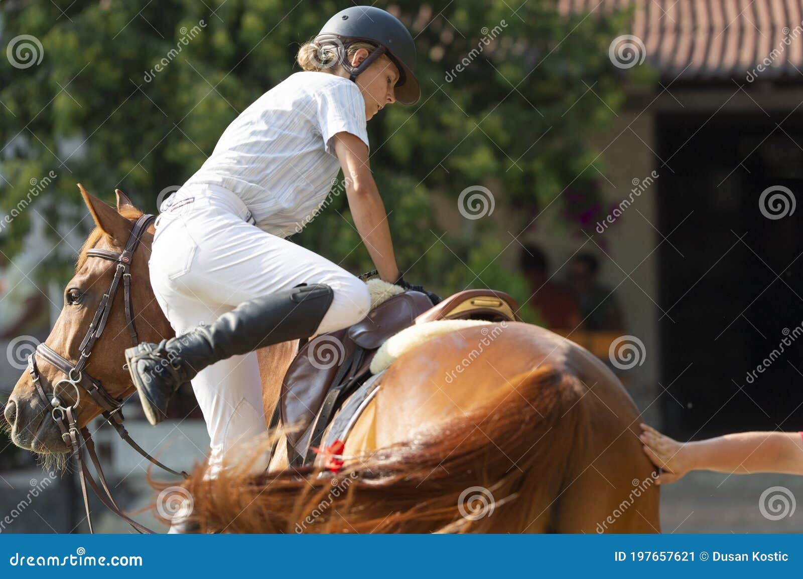 Diferença entre Andar a Cavalo e Montar Cavalo :: Dressage Arte Equestre