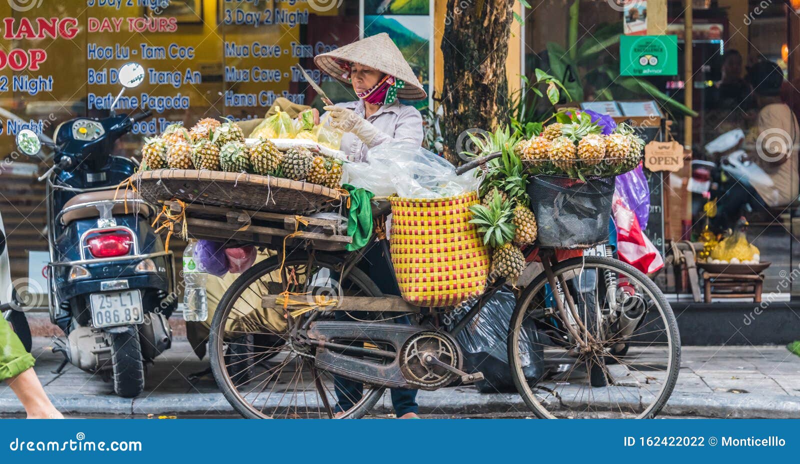 Mulher Vietnamita Vendendo Frutas Em Uma Bicicleta Em Hanói, Vietnã  Fotografia Editorial - Imagem de trilho, bicicleta: 162422022