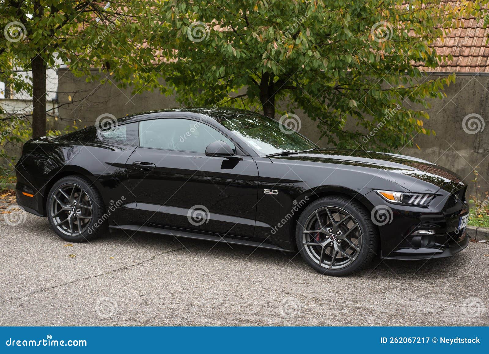 Profile View of Black Ford Mustang 500 GT Cars Parked in the Street