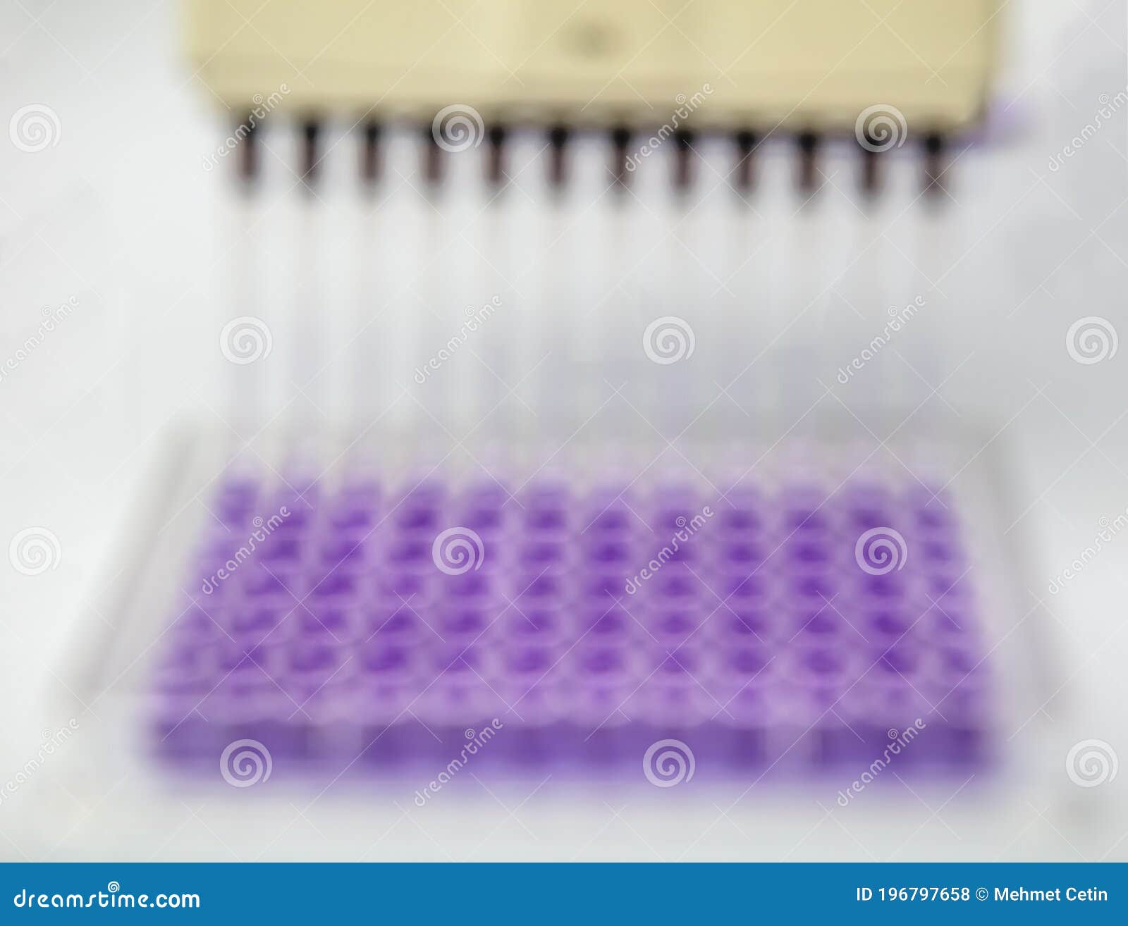 Multi Channel Pipette Loading Biological Samples in Microplate for Test