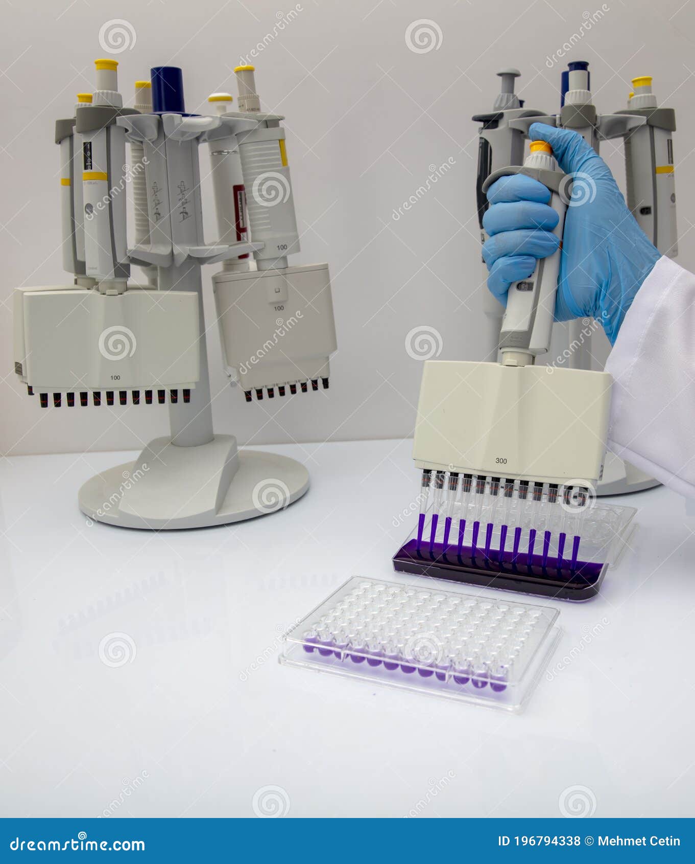 Multi Channel Pipette Loading Biological Samples in Microplate for Test