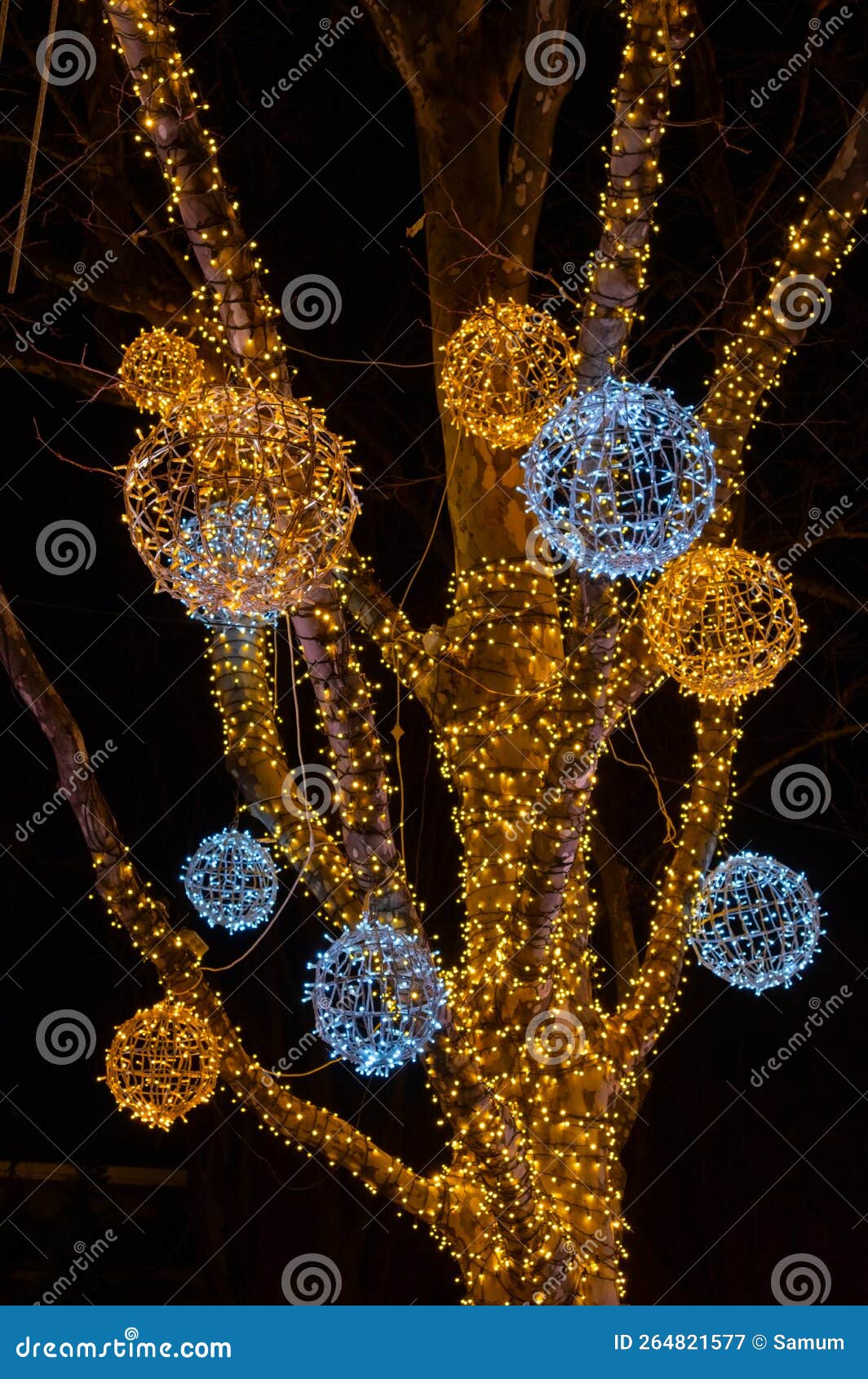 Multicolored Christmas Lights at Nighttime Stock Image Image of