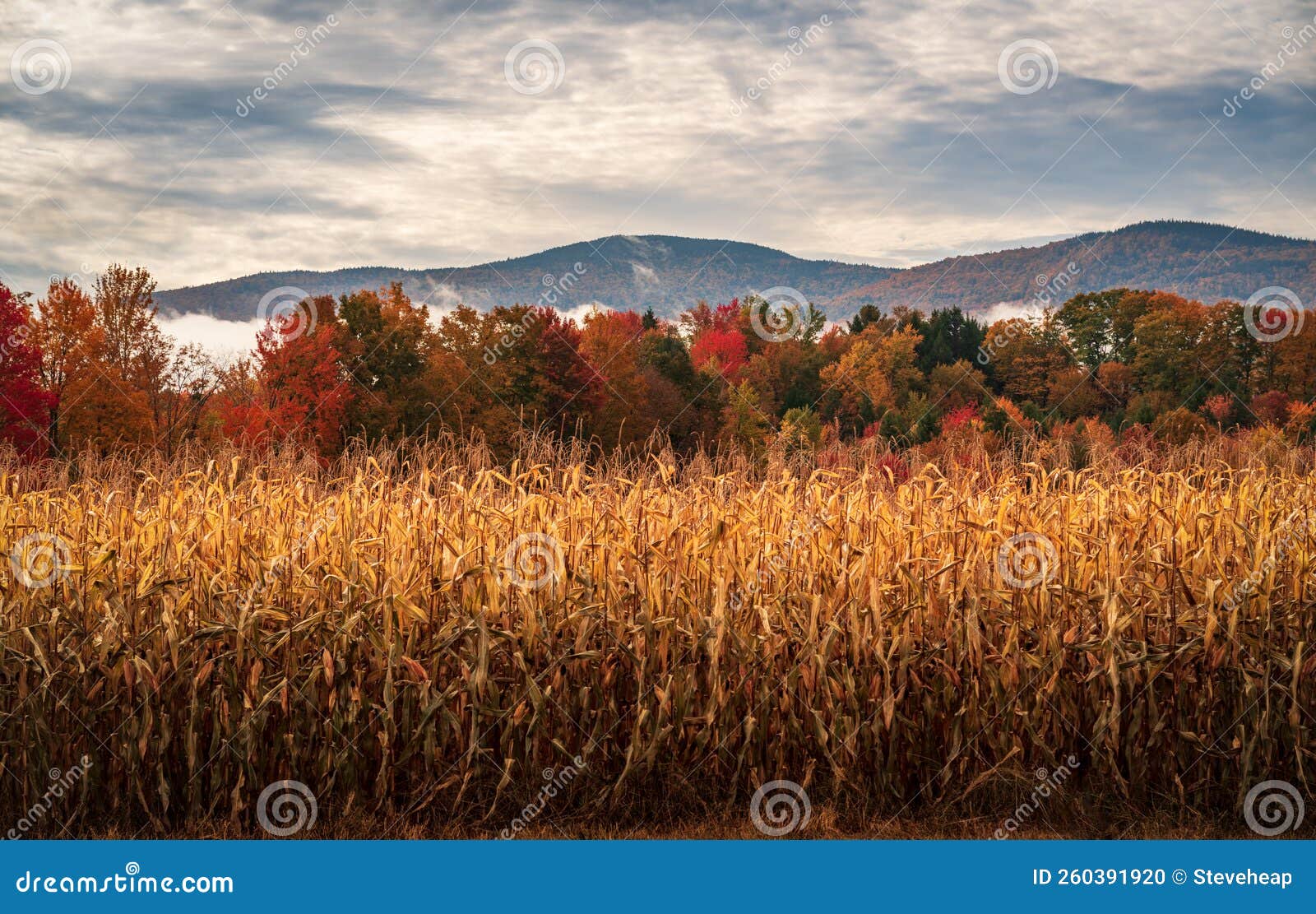 Multicolored Fall Landscape in Vermont Stock Photo Image of cloudy