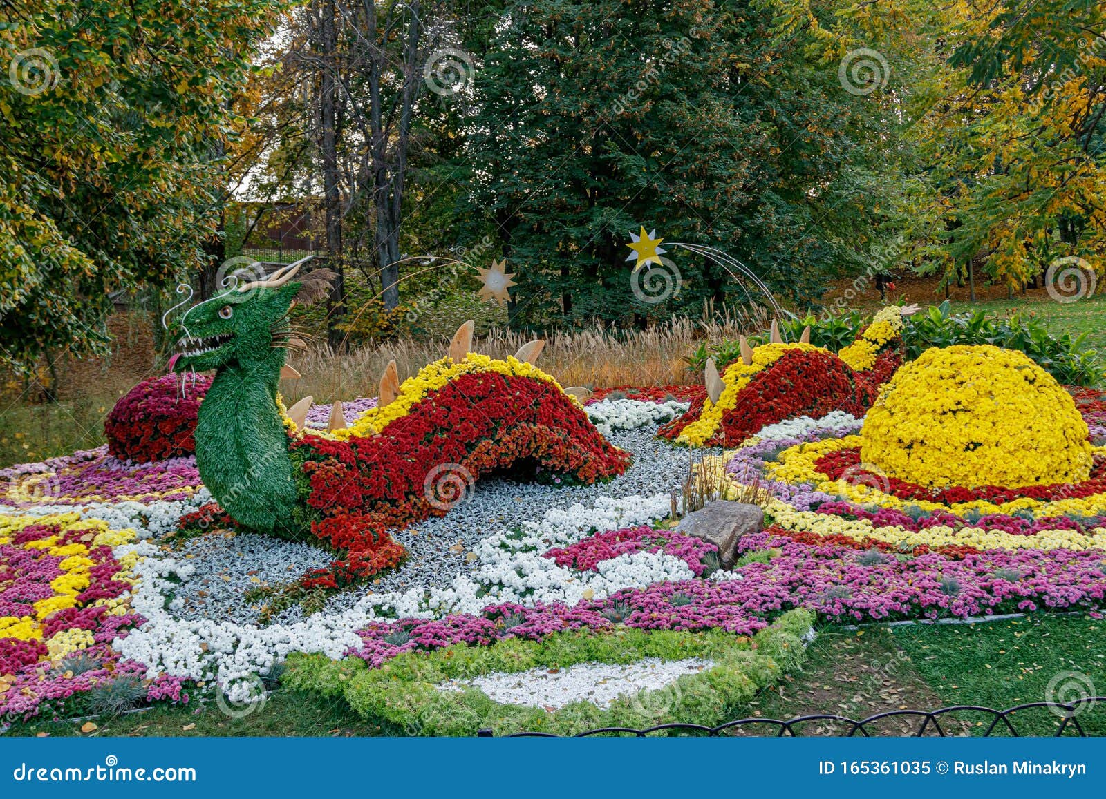 Multi-colored Flower Beds of Beautiful Chrysanthemums Editorial Image ...