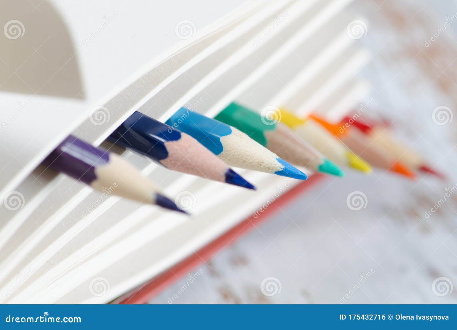 Multicolored Pencils between the Pages of a Book. Focus is on the
