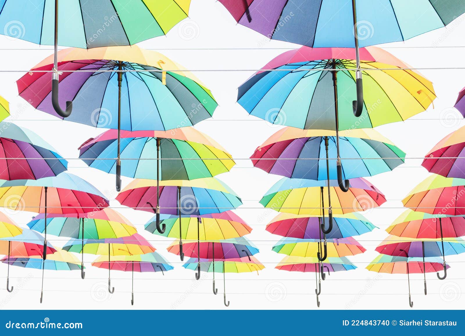 Multicolored Umbrellas Weigh in Several Rows Editorial Image Image