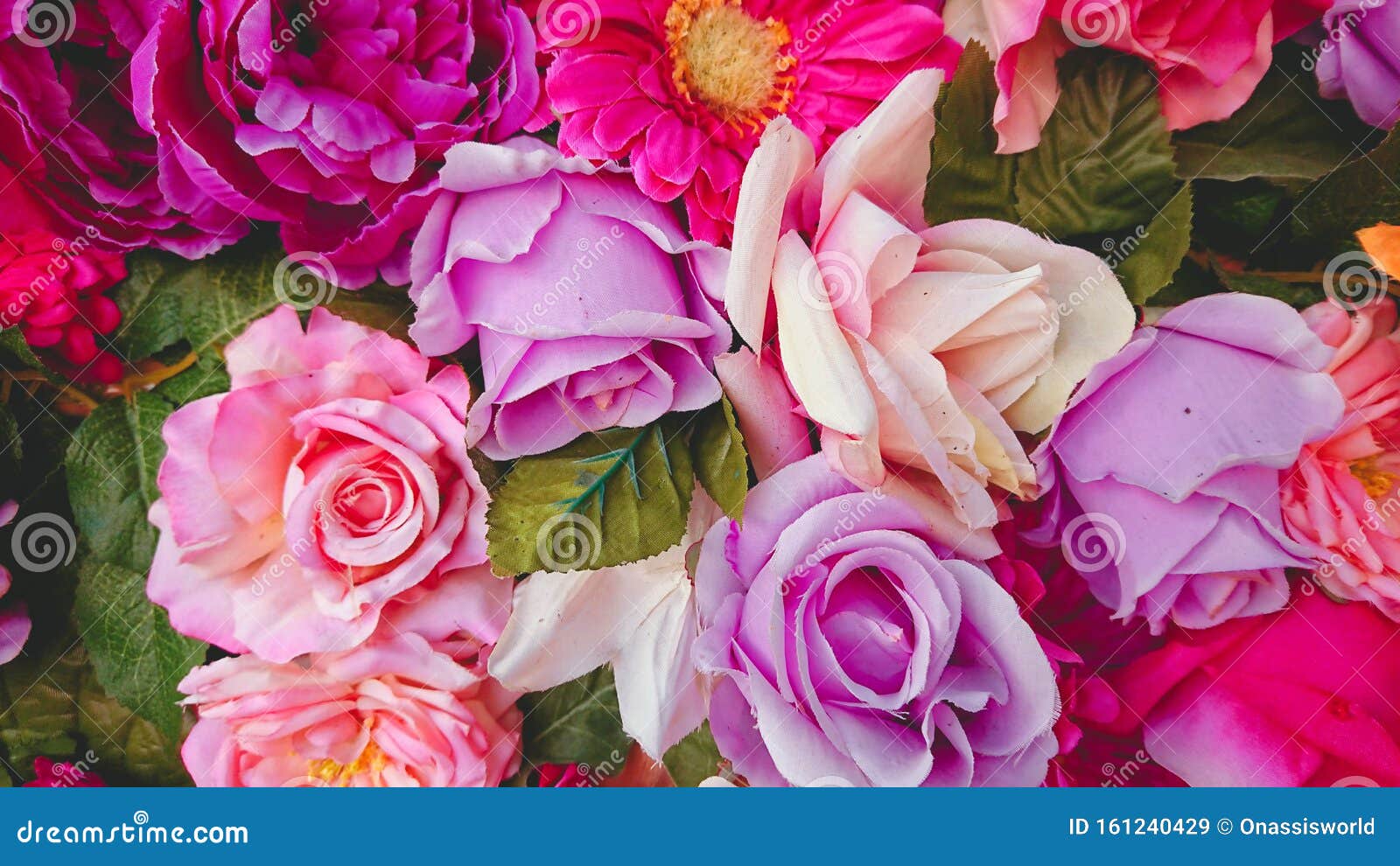 Không có gì tuyệt đẹp bằng những bông hoa nhiều màu sắc. Những mảng màu sáng tạo nên một cảnh quan hoa hồng phấn tuyệt đẹp. Hãy xem hình ảnh liên quan để tan hưởng sắc màu đầy sức sống của những bông hoa nhiều màu sắc.