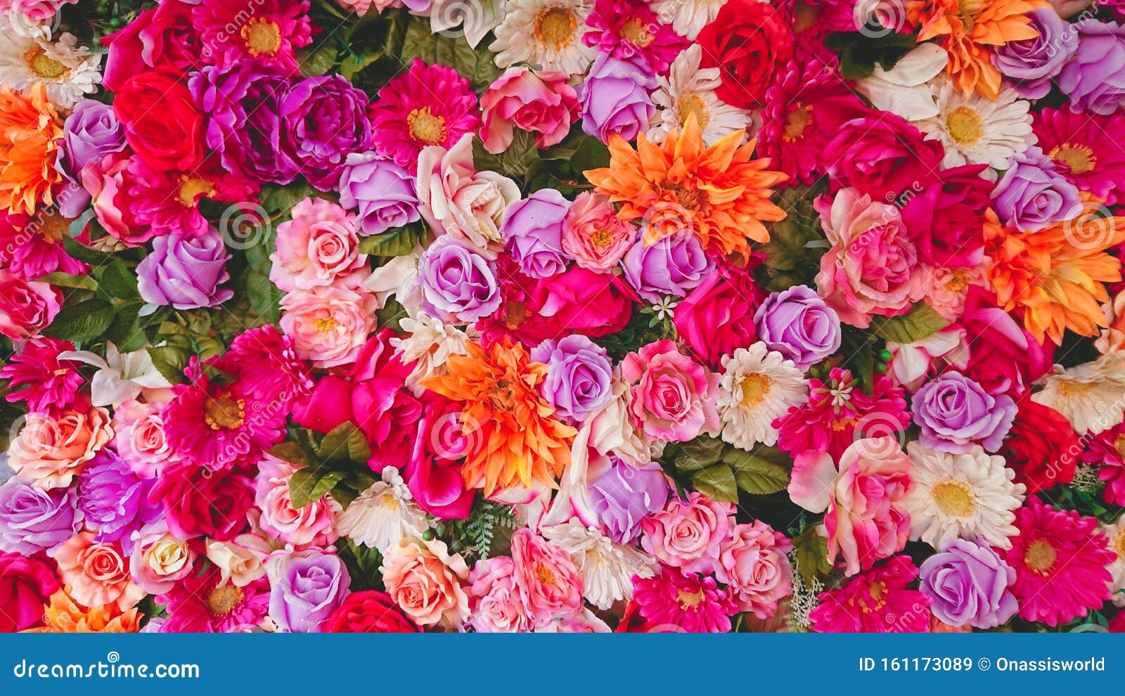 Màu sắc hòa quyện trong những bông hoa ngập tràn là sự đa dạng của sự sống. Hãy để mắt bạn tận hưởng chúng qua bức ảnh đầy sáng tạo này.