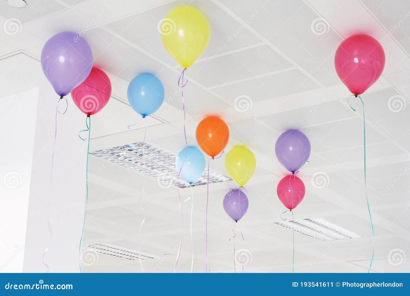 Multi Coloured Helium Balloons on the Ceiling Stock Image Image of