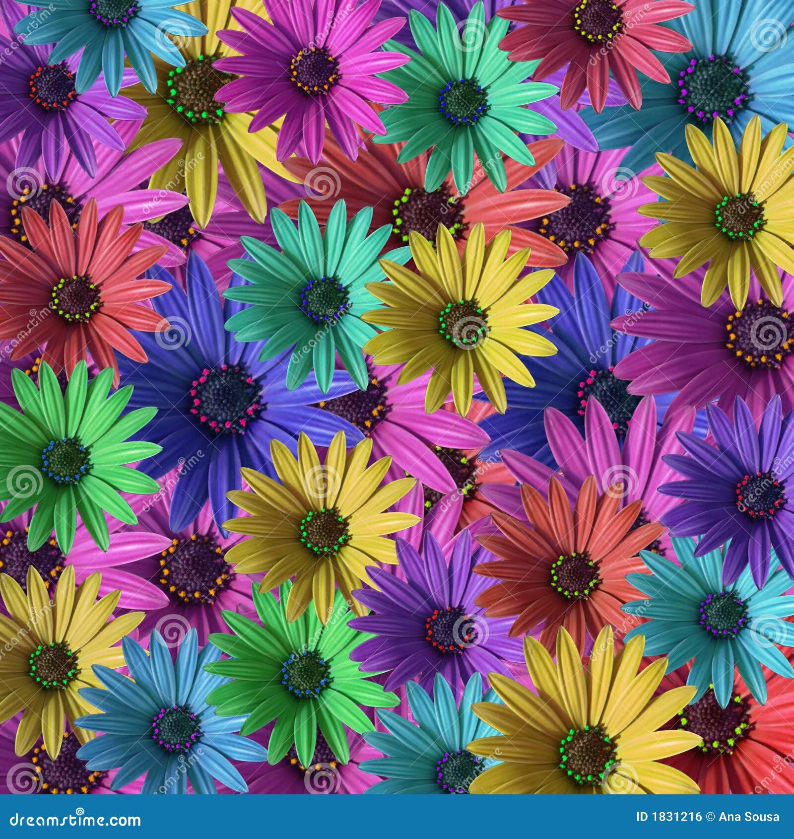 Multi margarida colorida foto de stock. Imagem de vibrante 1831216