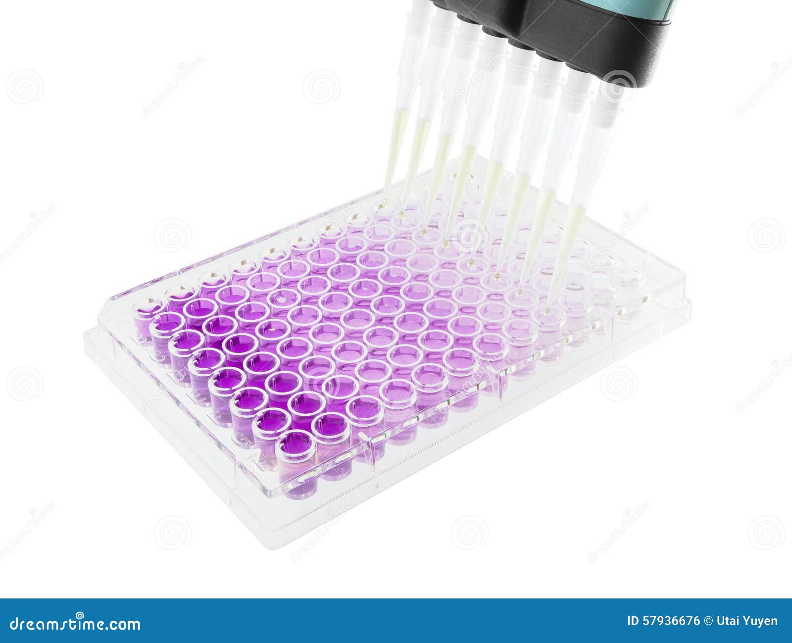 multichannel pipette test sample on 96 wells