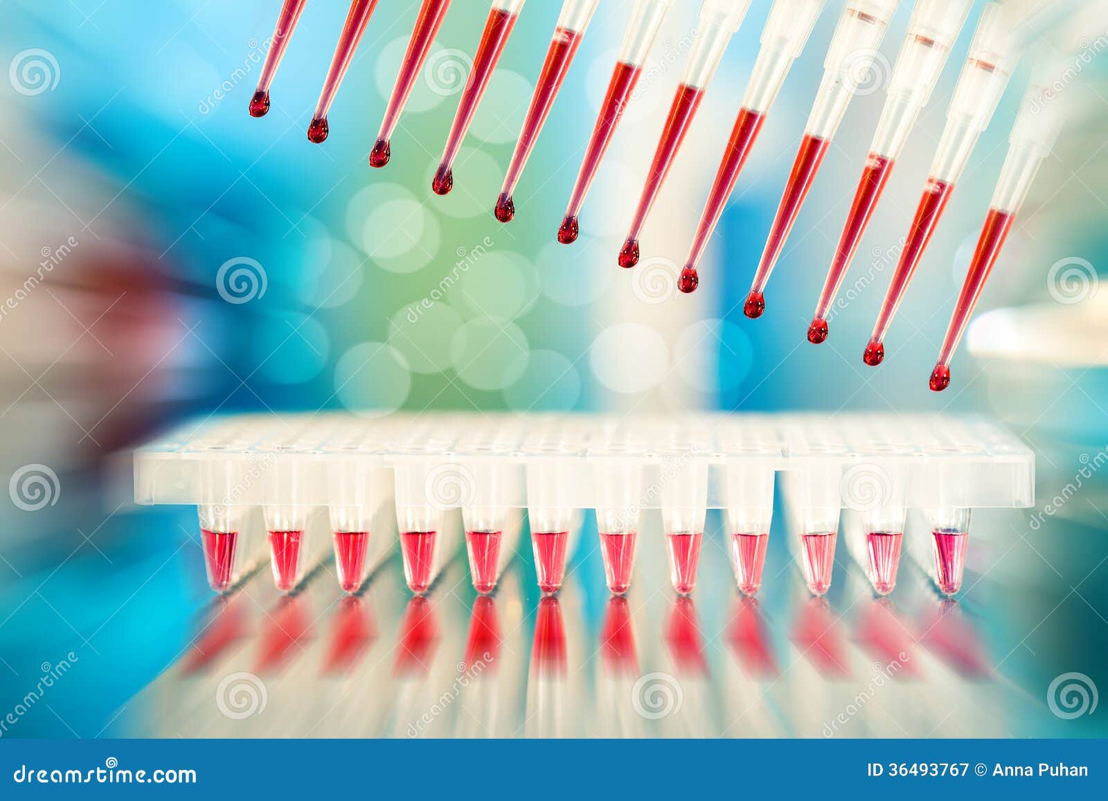 multichannel pipette