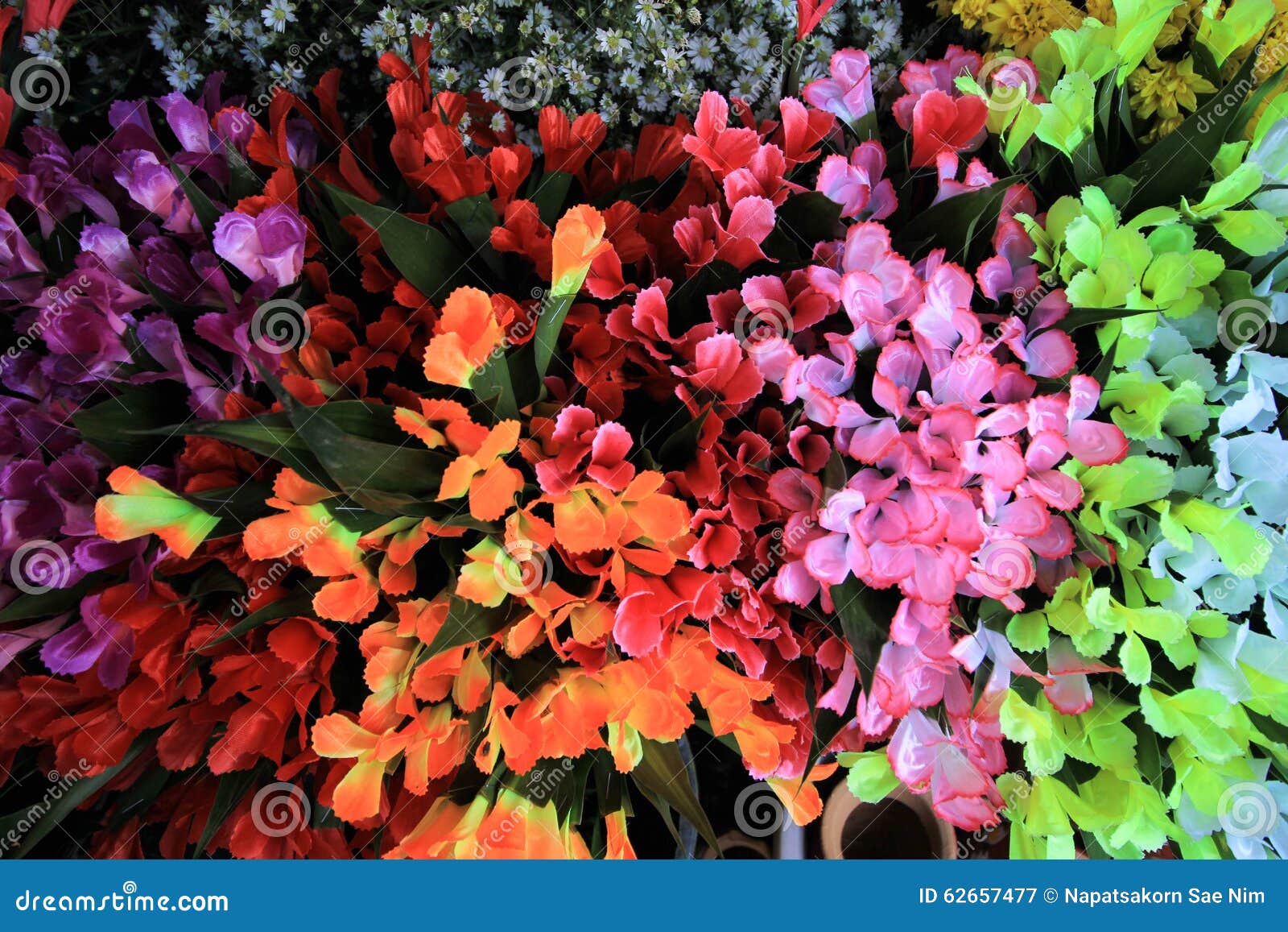 Multicolor flowers stock image. Image of white, flowers 62657477