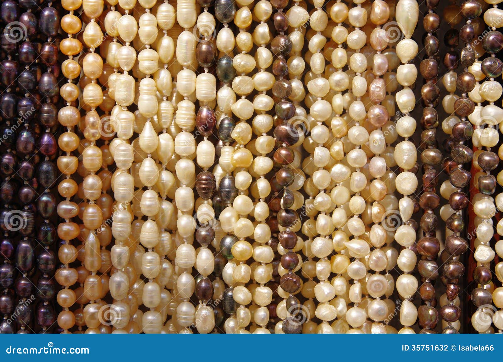 Multicolor Pearl necklaces stock photo. Image of multicolour - 35751632