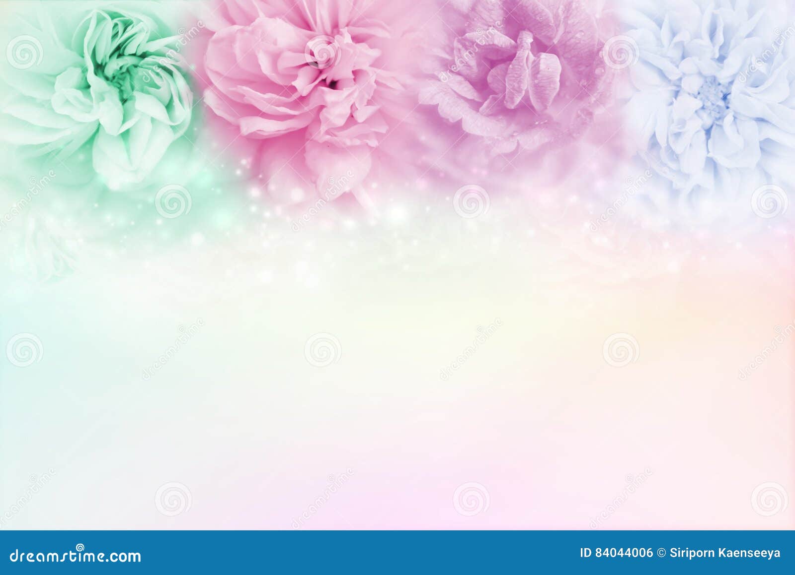 Multicolor Roses in a Soft Pastel Background, Conceptsof Valentine& X27;s  Day and Wedding Invitation Card Stock Photo - Image of roses, multicolor:  84044006