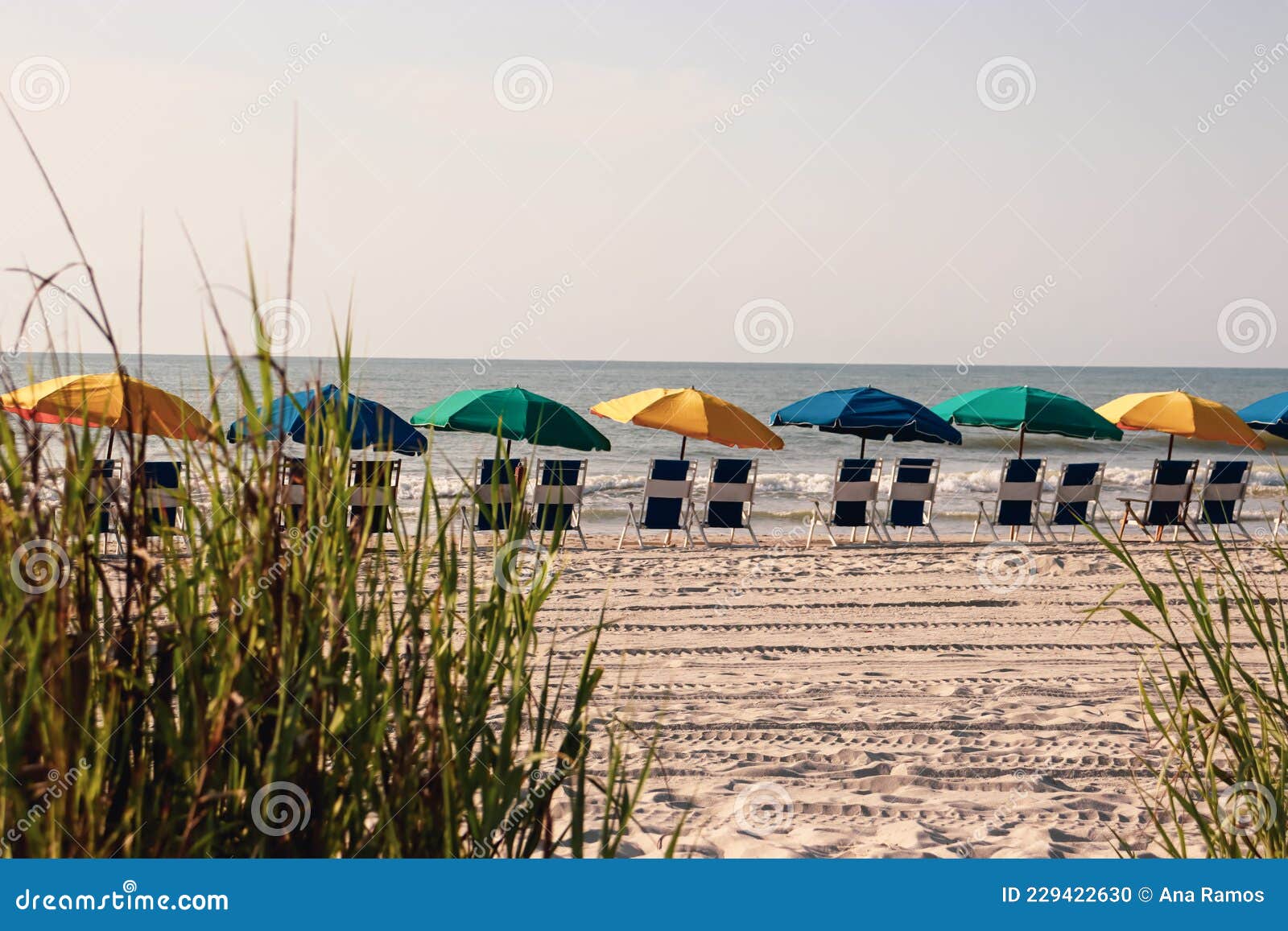 multicolor umbrellas and chairs on the beach