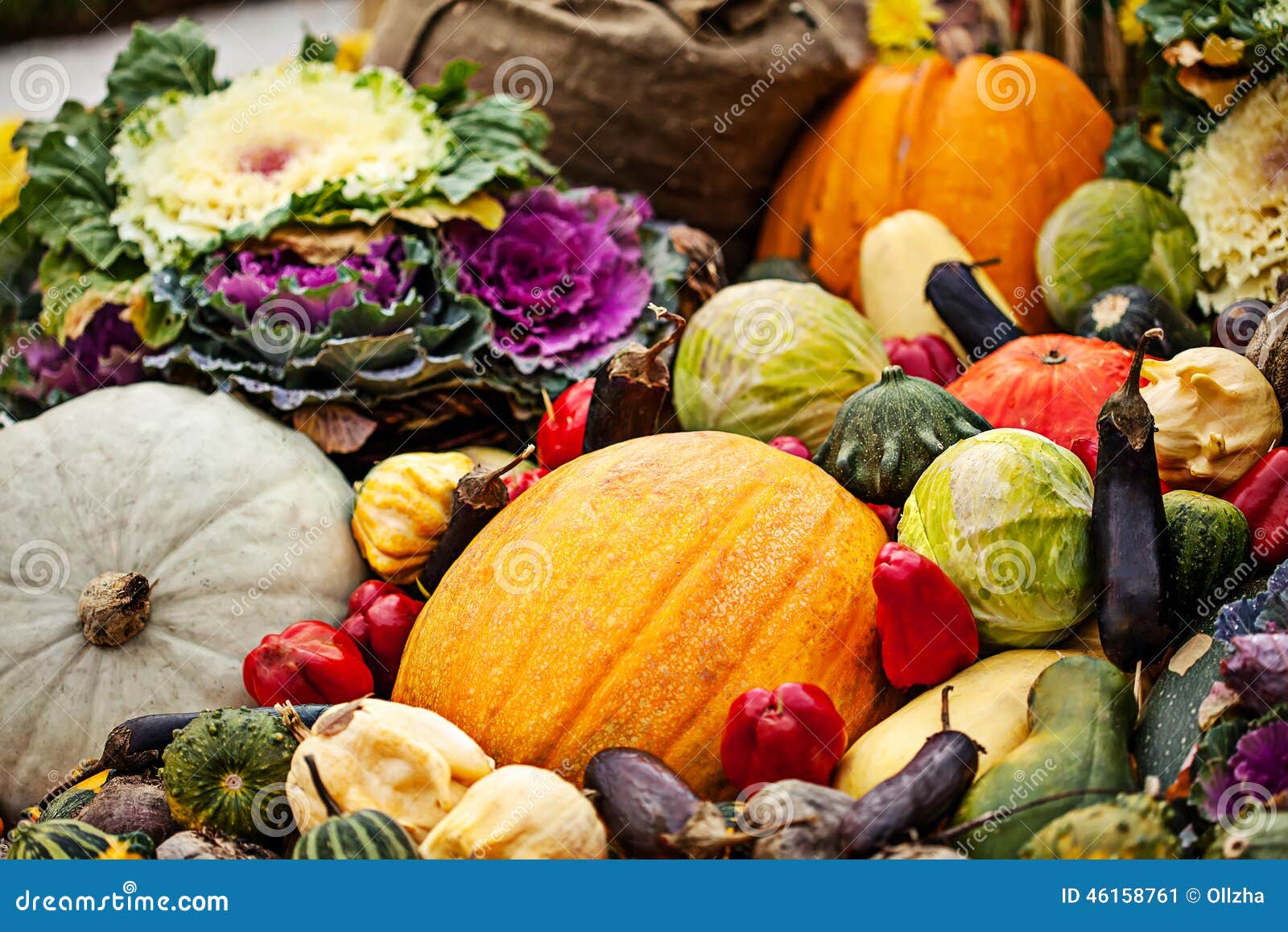 Multicolored Autumn Season Vegetables Assortment Stock Image Image of