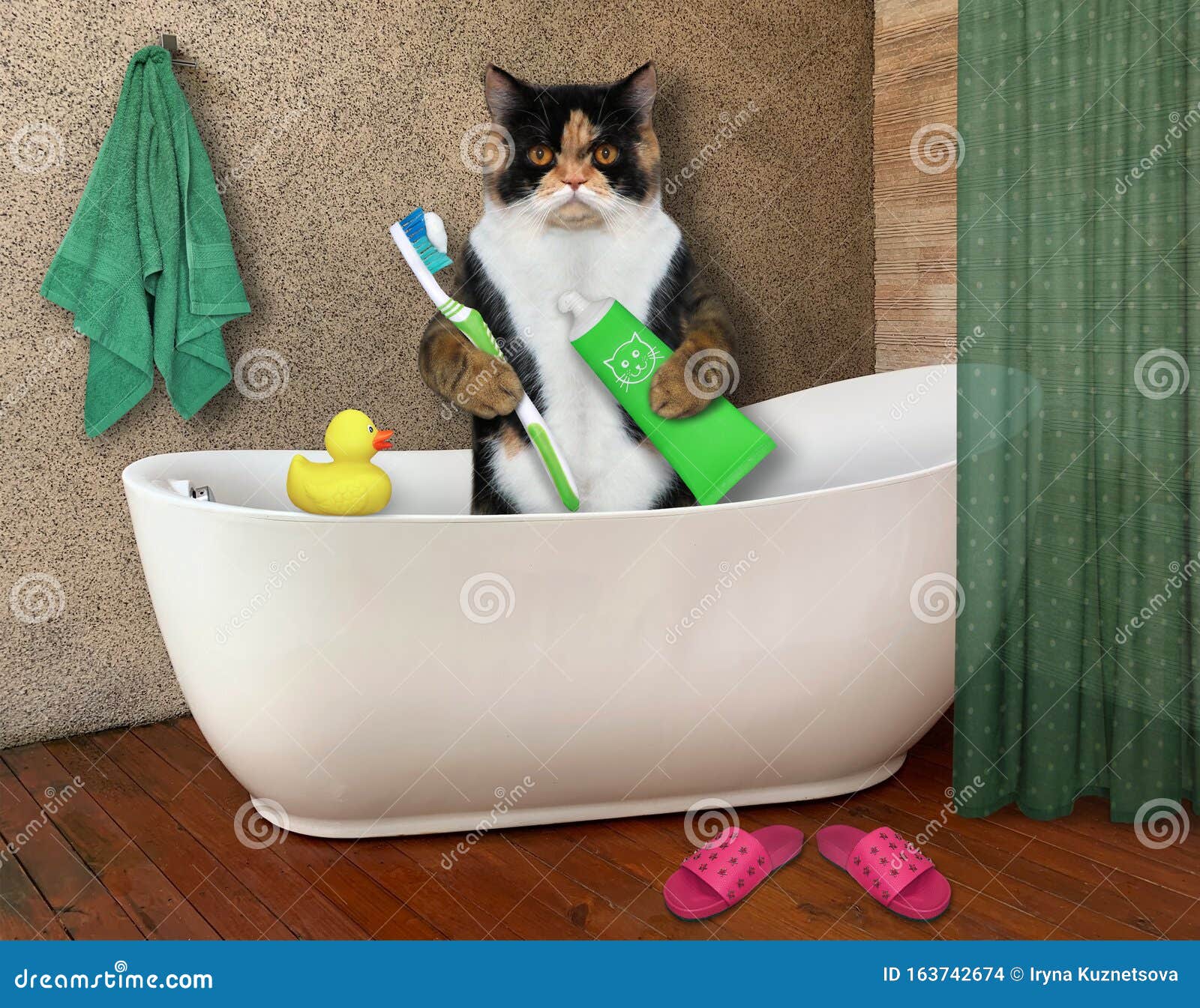 Cat Brushes Teeth in Bathtub Stock Photo Image of cosmetics, concept
