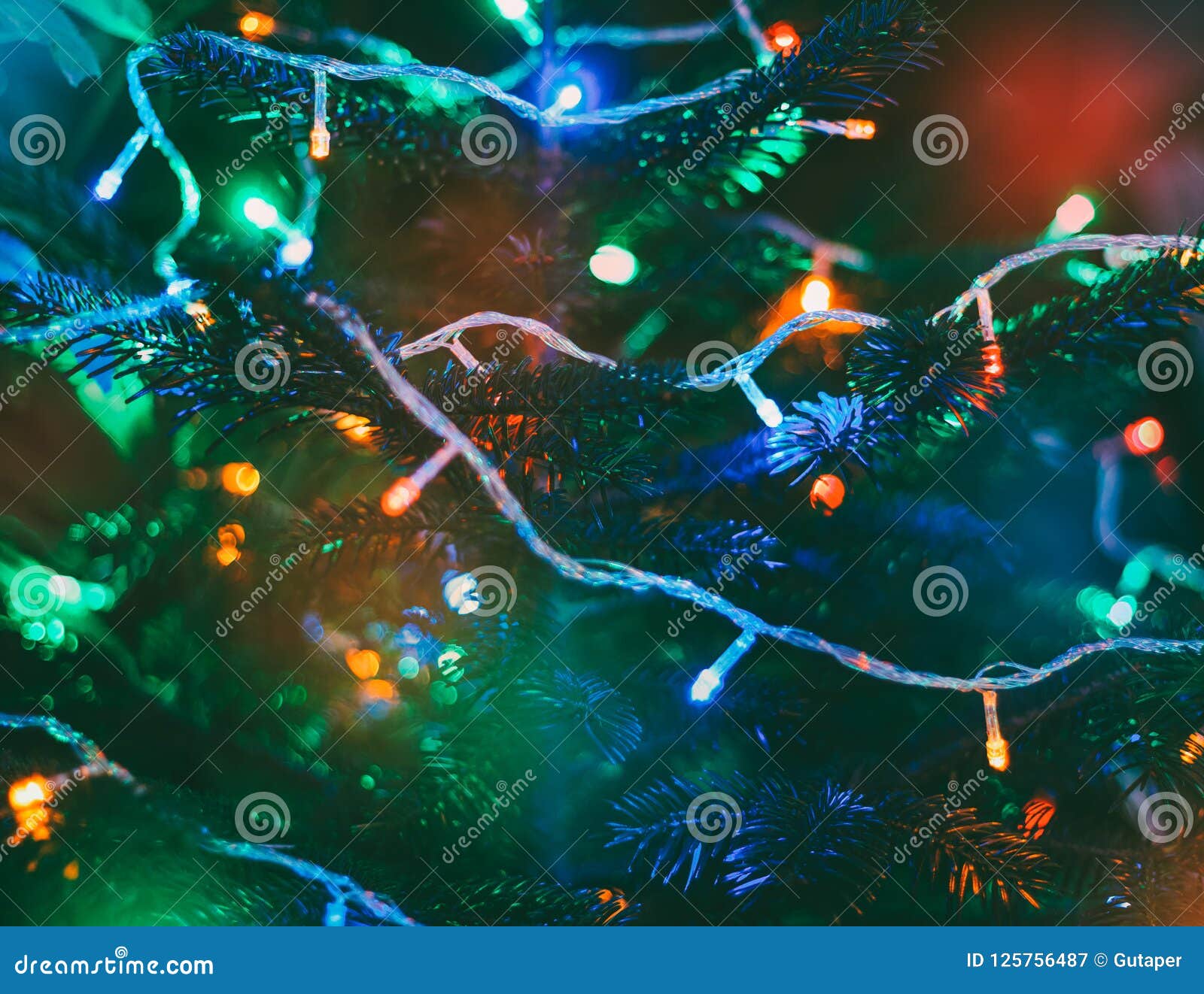 Multicolored Christmas Lights on New Year Tree Stock Image Image of