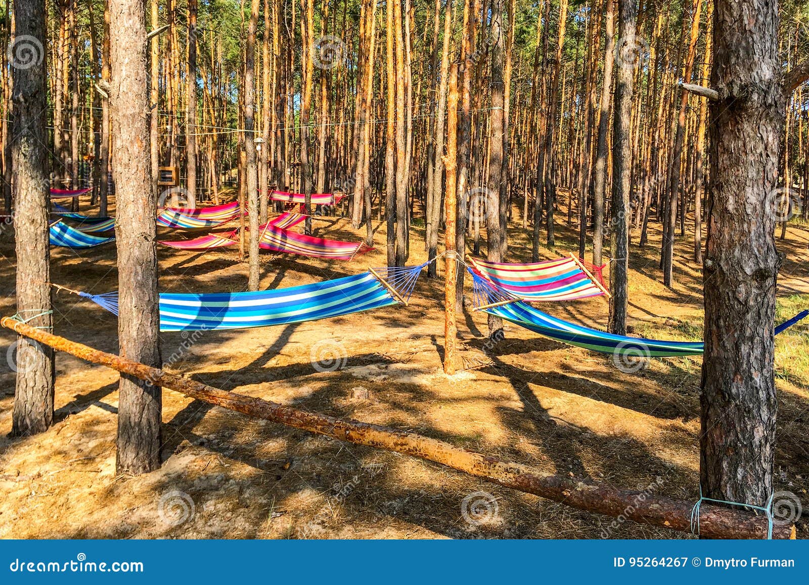 Multicolored Hammocks between Trees in the Forest. Stock Image Image