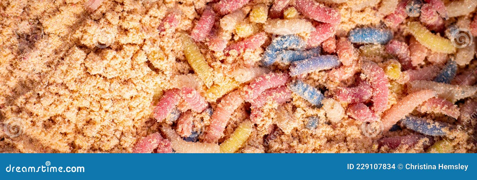 Multicolored Maggots for Fishing Stock Photo - Image of