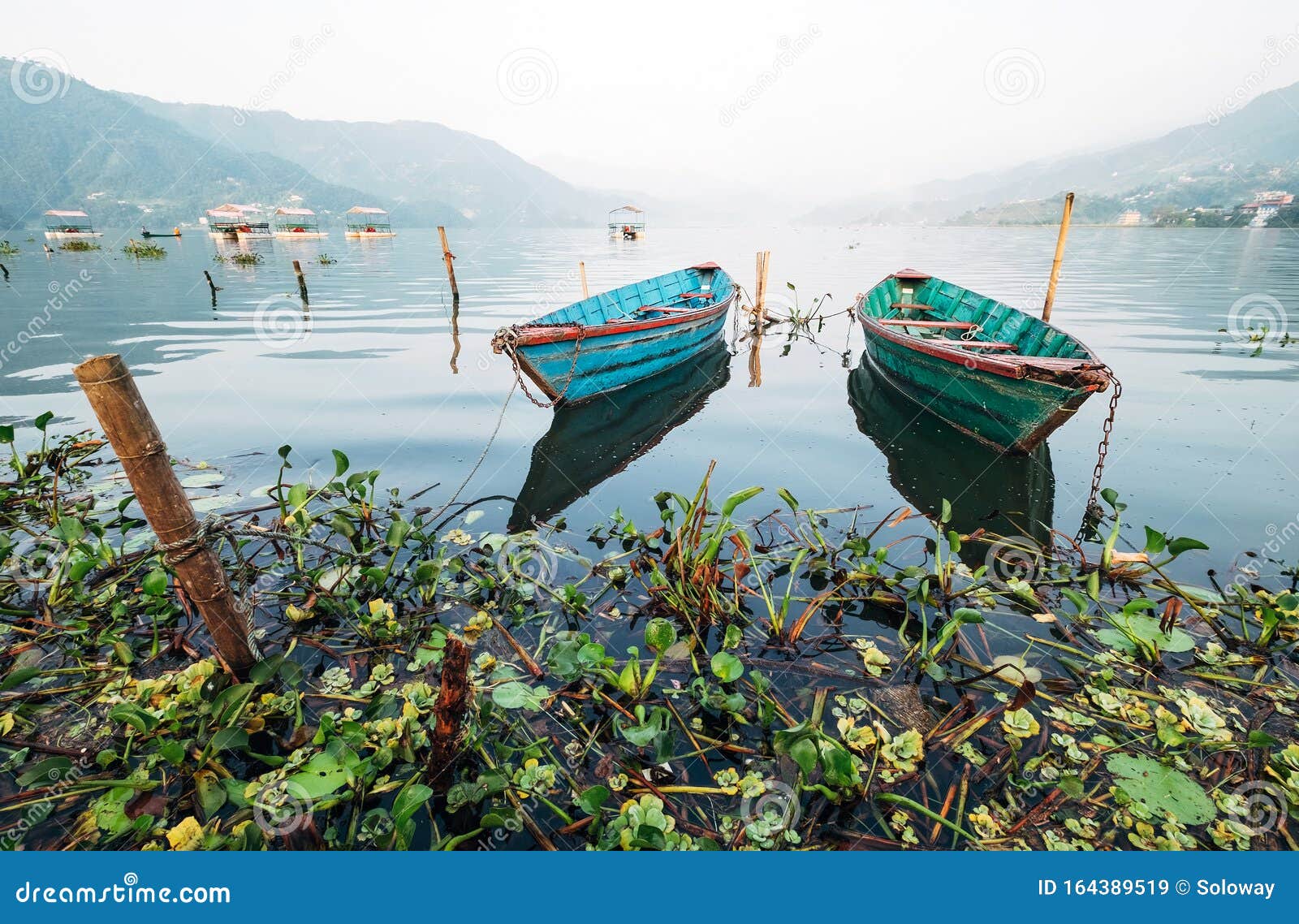multicolored traditional rowboats on the morning lake water at lakeside in pokhara, gandaki pradesh, nepal. asian traveling