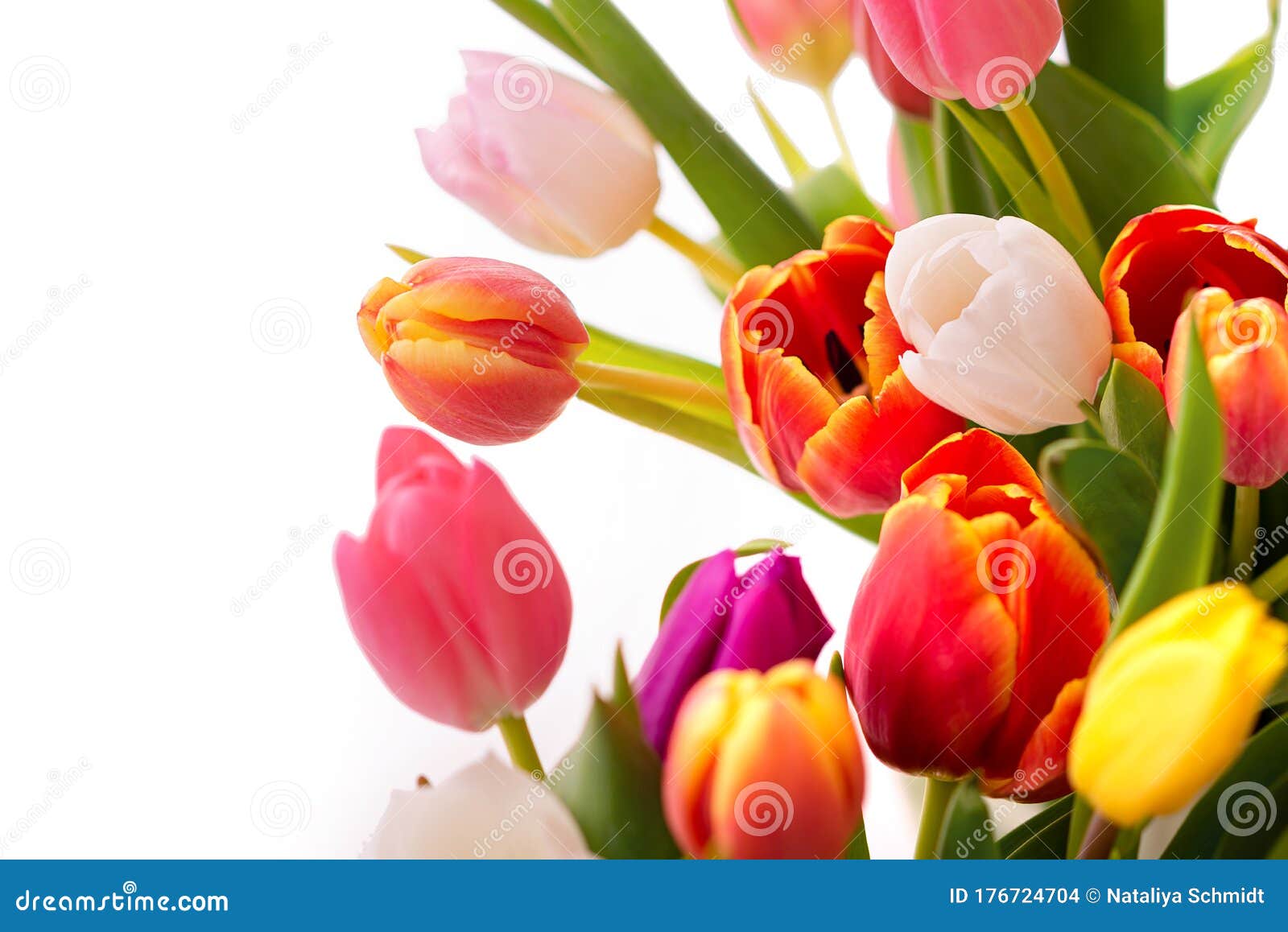 Floral Frame of Colorful Tulips Stock Photo - Image of frame, bouquet ...