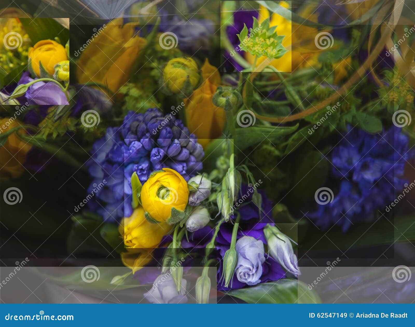 Multiple Exposure of Flowers Stock Image Image of blur, beautiful 62547149