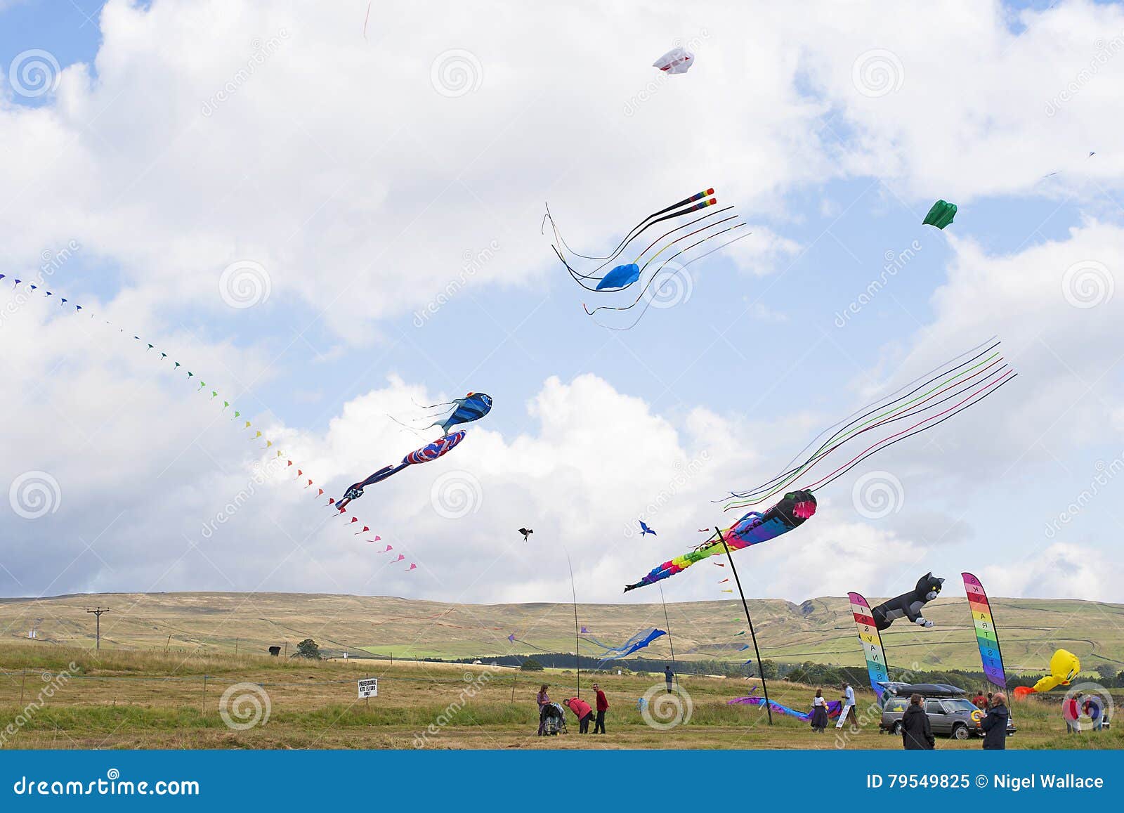 Multiple Kites Flying High in the Countryside Editorial Image Image