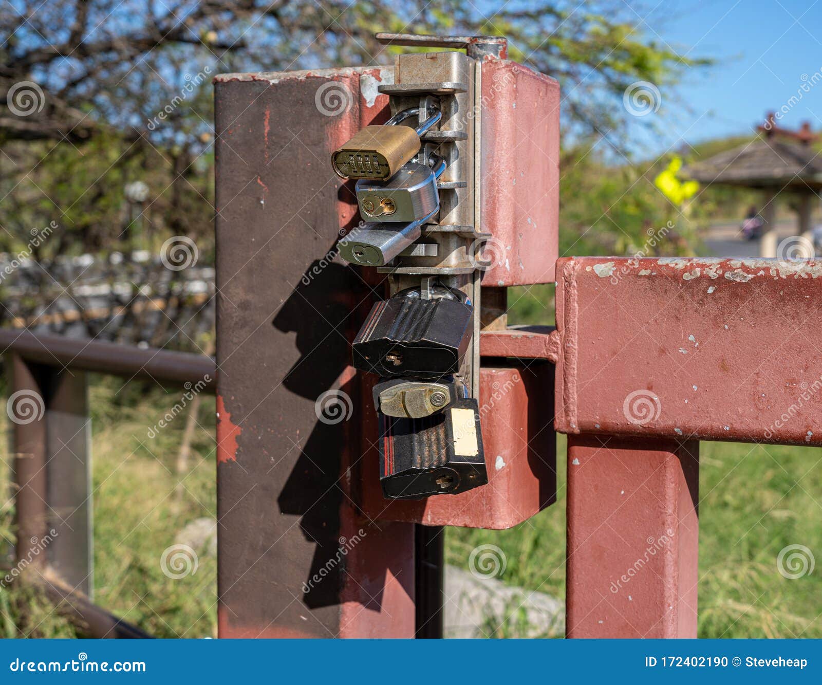 Multiple Padlocks on a Steel Gate To Securely Lock it Stock Photo