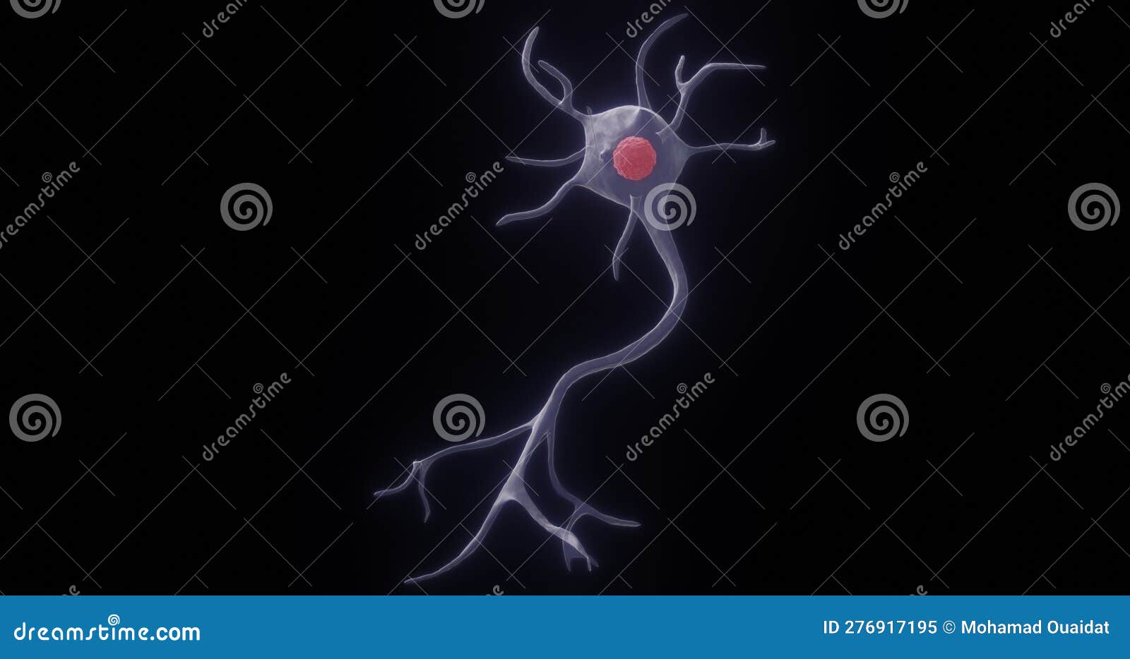 a multipolar neuron in 3d 