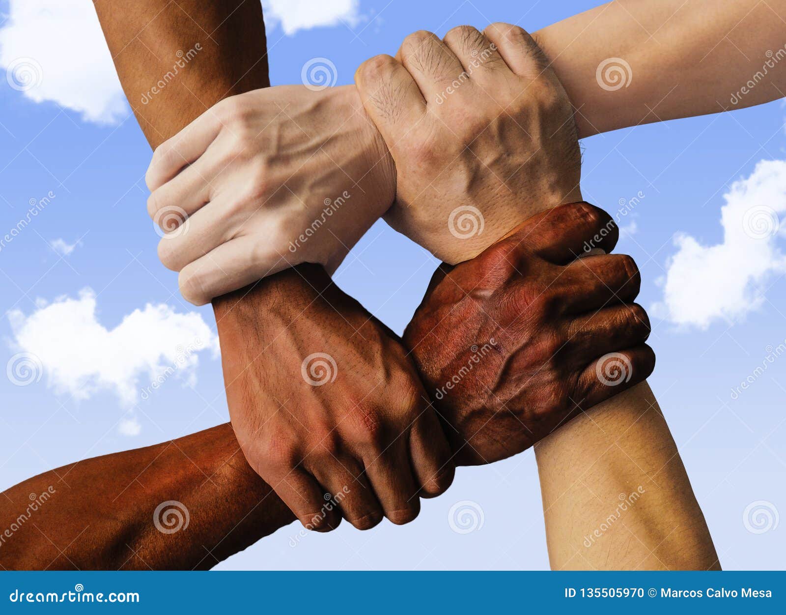 multiracial group with black african american caucasian and asian hands holding each other wrist in tolerance unity love and anti